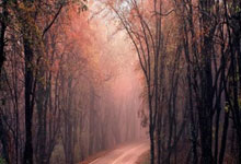 猛龙击败凯尔特人晋级东部决赛