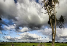 猛龙击败凯尔特人晋级东部决赛