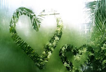 不来梅队赢得胜利，晋级下一轮德国杯赛