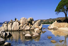 雄鹿队全队状态火热，轻松战胜森林狼