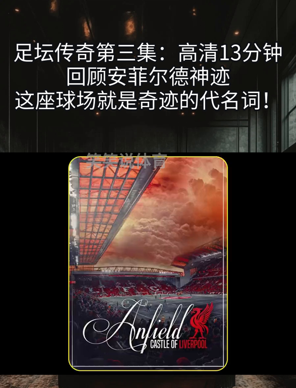 球场传奇复出,引领球队决战冠军的简单介绍 球场传奇复出,引领球队决战冠军的简单介绍