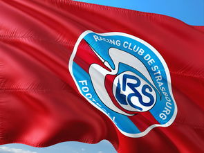 开云体育入口-斯特拉斯堡主场大胜博得分积分上升，足球激情再度点燃！